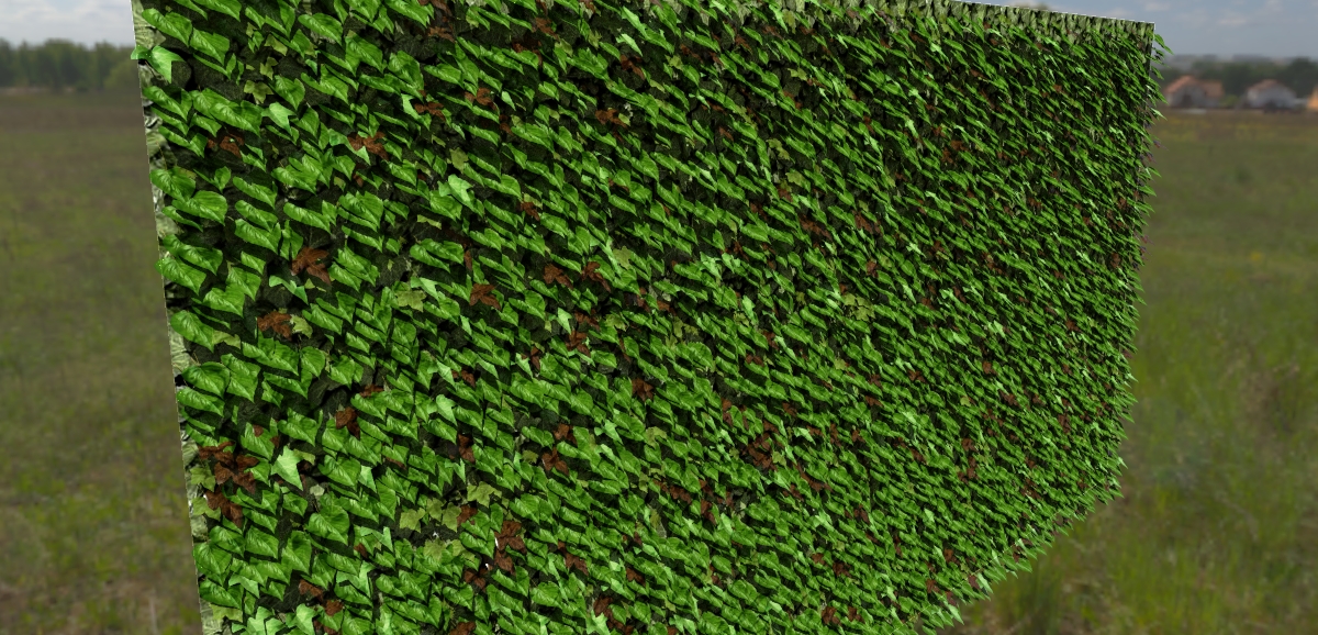 Vertical Ivy v1_Scène 1 08 2m.jpg