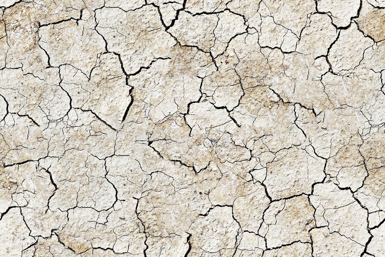 desert_ground texture-seamless.jpg