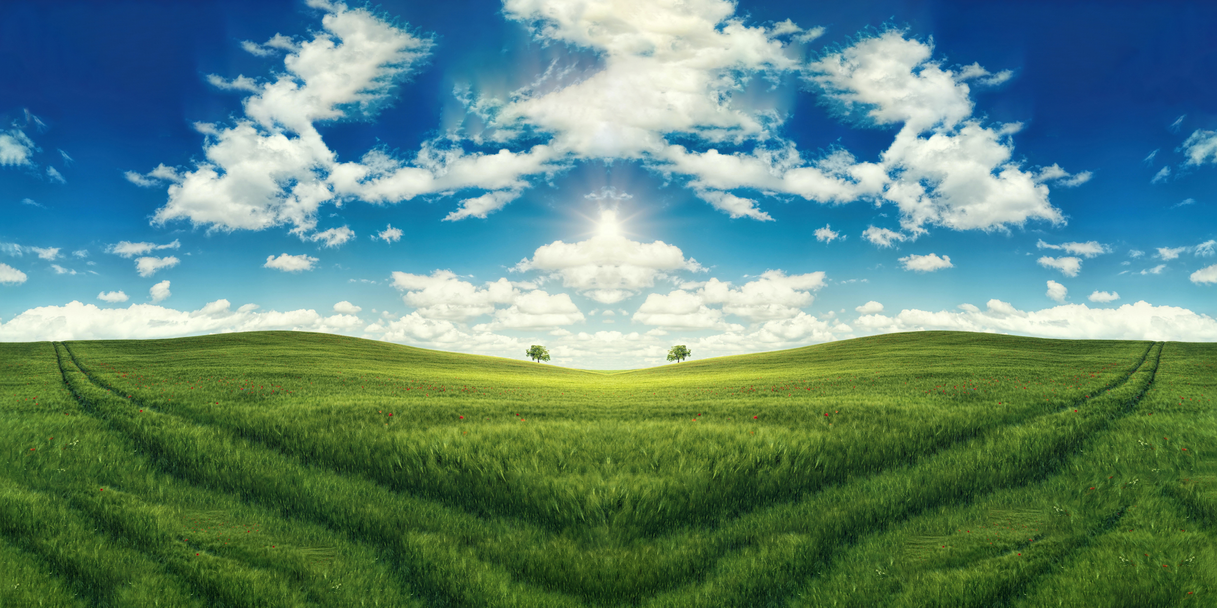 green-landscape-sunny-day-seamlessFixTWLsupport.jpg