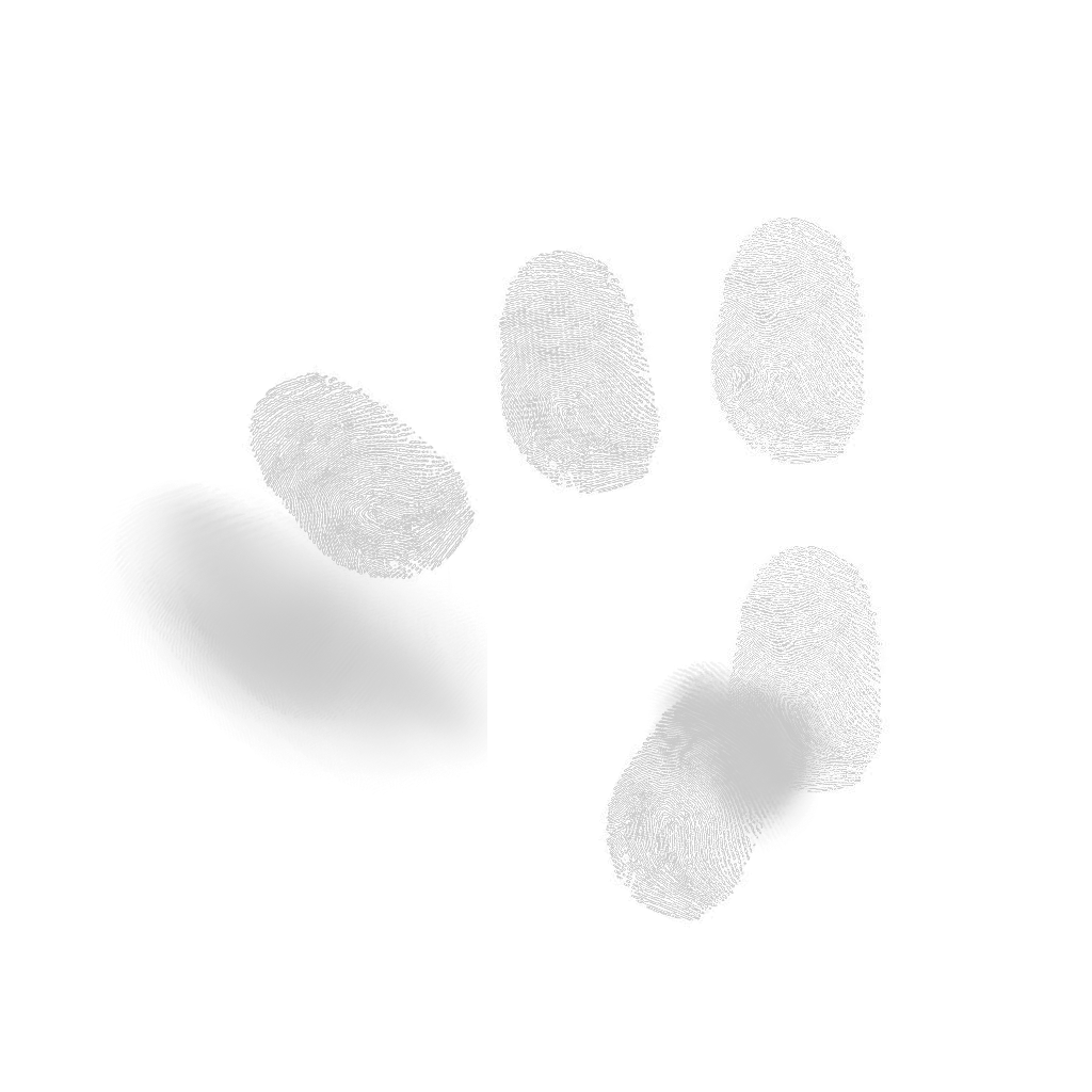 fingerprint-008_transparent.png