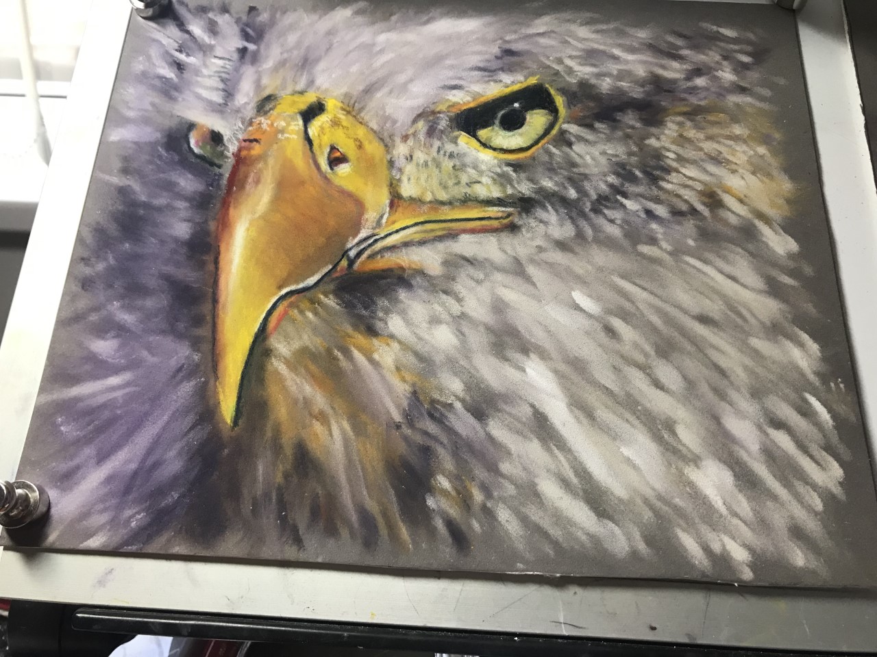 Eagle By Sara.jpg